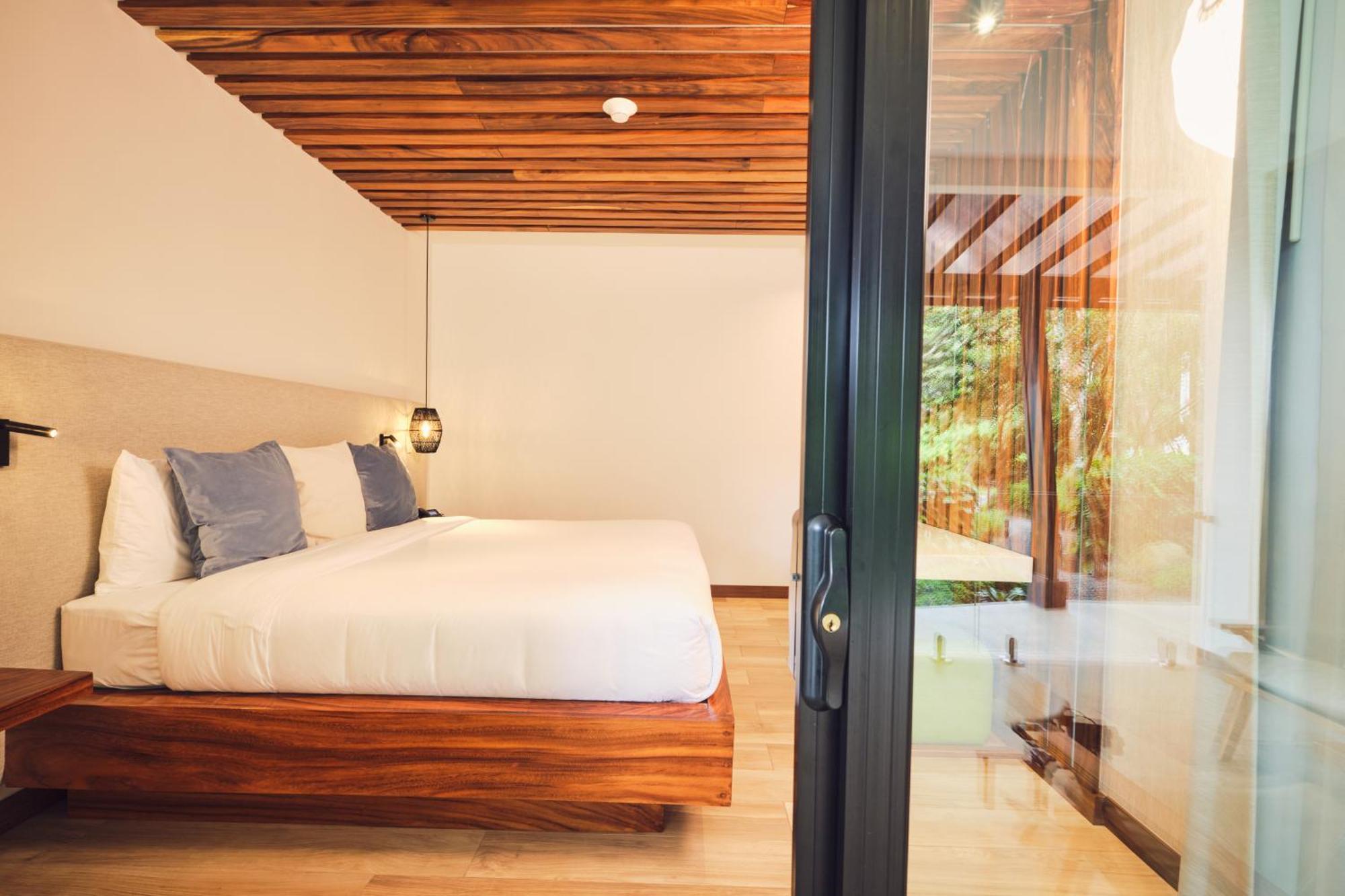 1 King Room with Terrace / Sotobosque